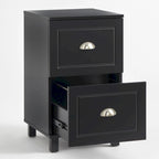 2-Drawer Filing Cabinet