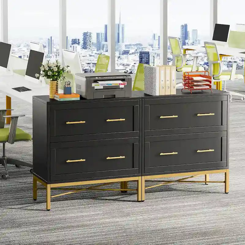 32-Zoll-Aktenschrank, moderner seitlicher Aktenschrank mit 2 Schubladen für Letter-/Legal-/A4-Format, Homeoffice